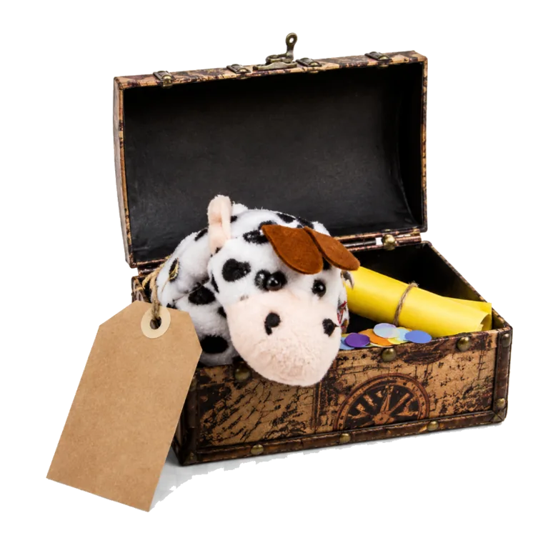 Schatkistje met knuffel